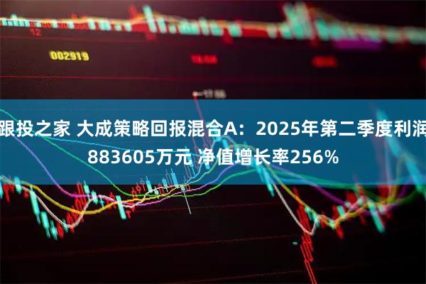 跟投之家 大成策略回报混合A:2025年第二季度利润883605万元 净值增长率256%