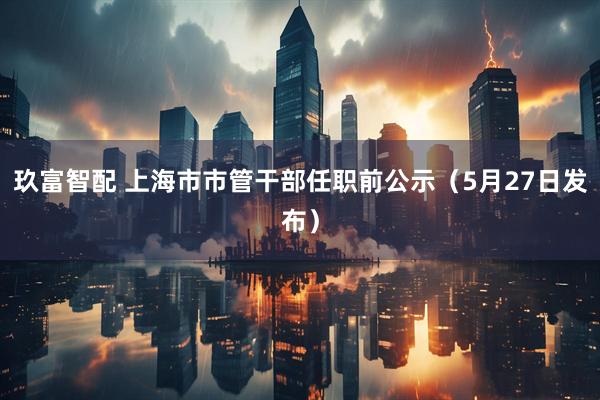 玖富智配 上海市市管干部任职前公示（5月27日发布）